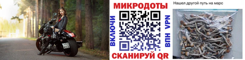 Купить где  Палласовка  Галлюциногенные грибы Magic Shrooms 