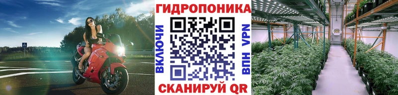 Конопля ГИДРОПОН Купить Палласовка